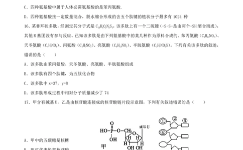生物-辽宁省实验中学2025-2026学年度上学期高一10月月考_2025年10月高一试卷_251021辽宁省实验中学2025-2026学年度上学期高一10月月考（全）