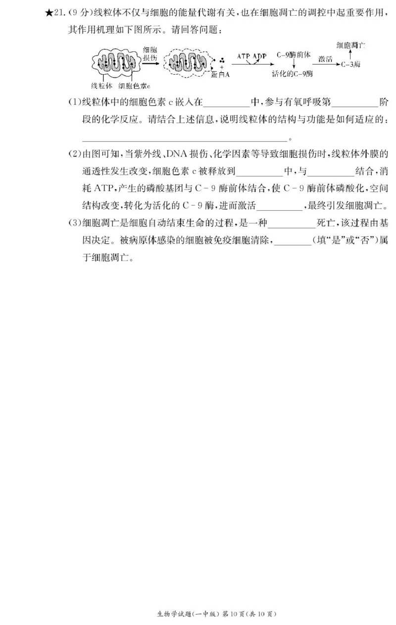 生物试卷（高一入学Y）_2025年02月试卷_0228湖南省长沙市第一中学2024-2025学年高一下学期入学考试_湖南省长沙市第一中学2024-2025学年高一下学期入学考试生物试题（PDF版，含答案）
