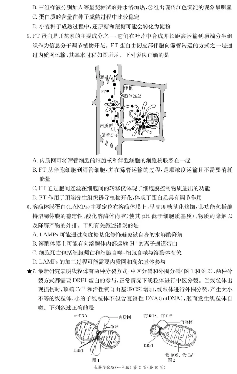 生物试卷（高一入学Y）_2025年02月试卷_0228湖南省长沙市第一中学2024-2025学年高一下学期入学考试_湖南省长沙市第一中学2024-2025学年高一下学期入学考试生物试题（PDF版，含答案）