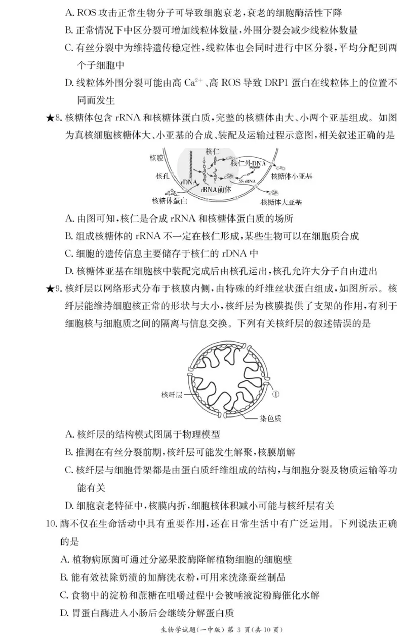 生物试卷（高一入学Y）_2025年02月试卷_0228湖南省长沙市第一中学2024-2025学年高一下学期入学考试_湖南省长沙市第一中学2024-2025学年高一下学期入学考试生物试题（PDF版，含答案）