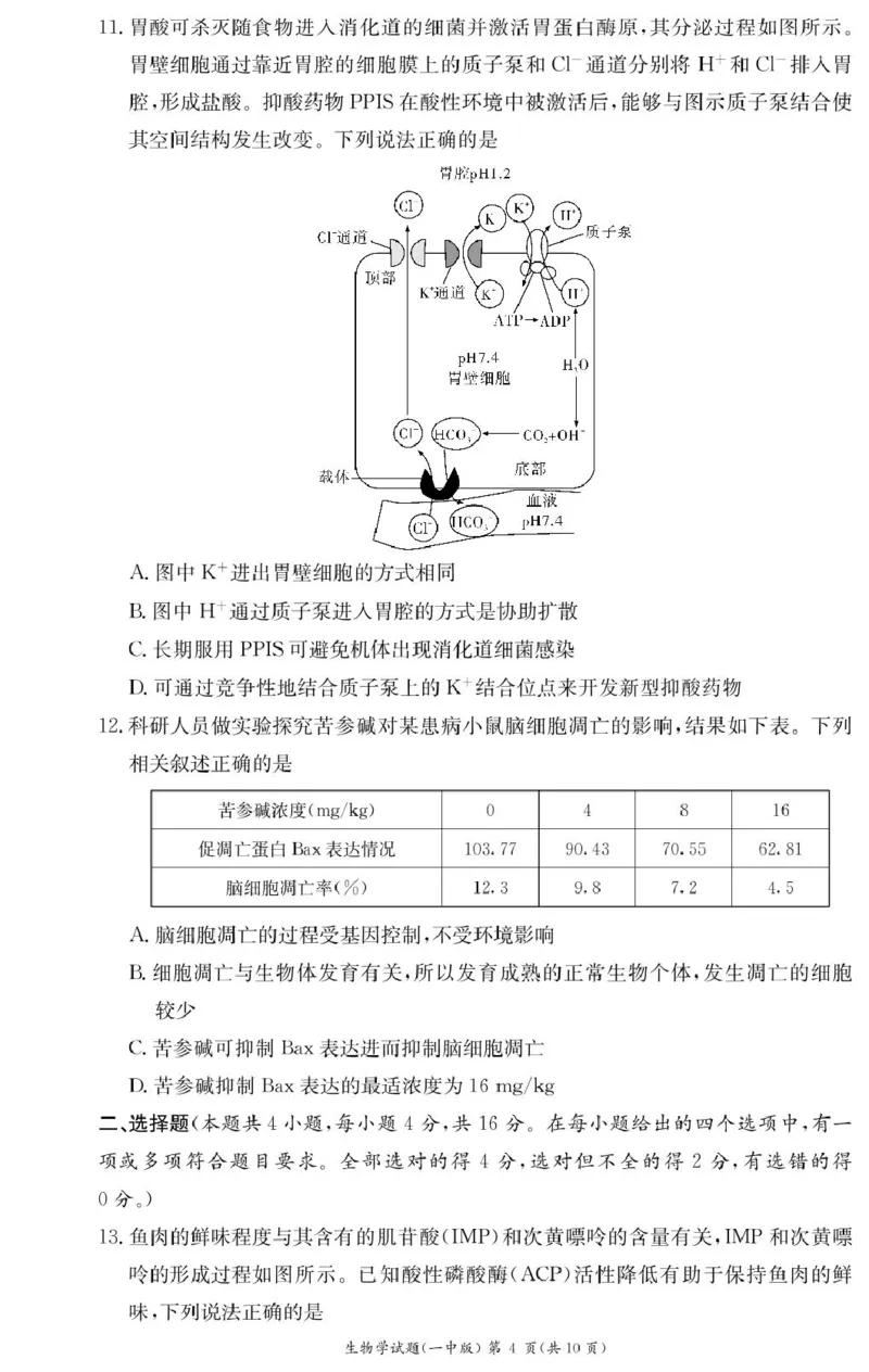 生物试卷（高一入学Y）_2025年02月试卷_0228湖南省长沙市第一中学2024-2025学年高一下学期入学考试_湖南省长沙市第一中学2024-2025学年高一下学期入学考试生物试题（PDF版，含答案）