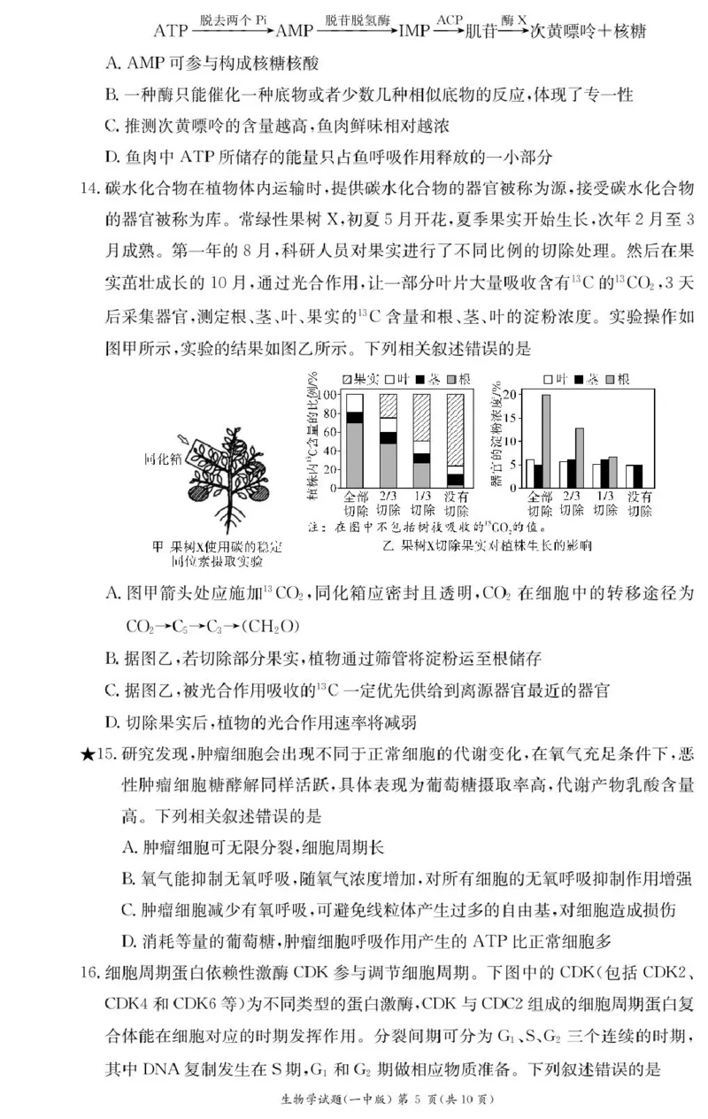 生物试卷（高一入学Y）_2025年02月试卷_0228湖南省长沙市第一中学2024-2025学年高一下学期入学考试_湖南省长沙市第一中学2024-2025学年高一下学期入学考试生物试题（PDF版，含答案）