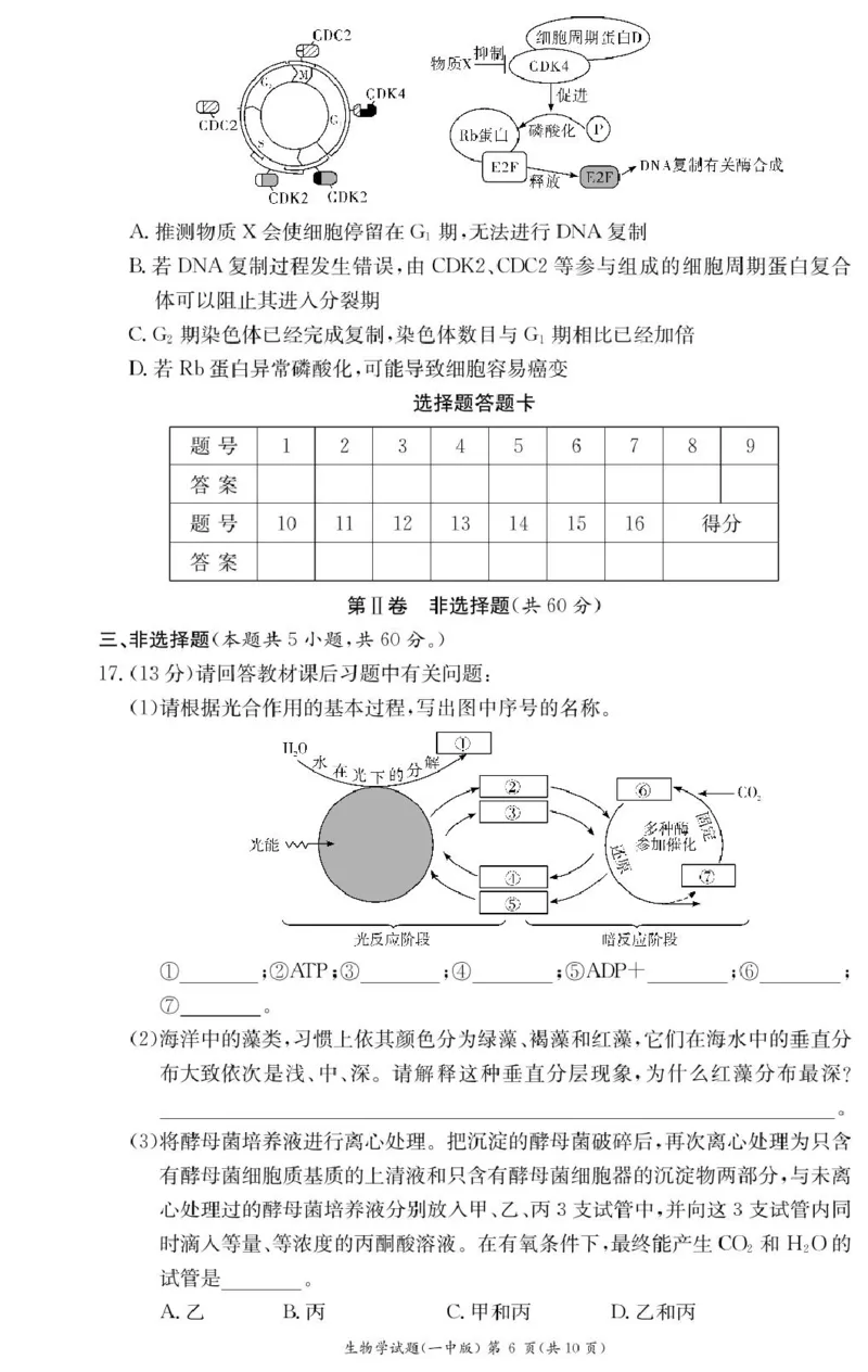 生物试卷（高一入学Y）_2025年02月试卷_0228湖南省长沙市第一中学2024-2025学年高一下学期入学考试_湖南省长沙市第一中学2024-2025学年高一下学期入学考试生物试题（PDF版，含答案）