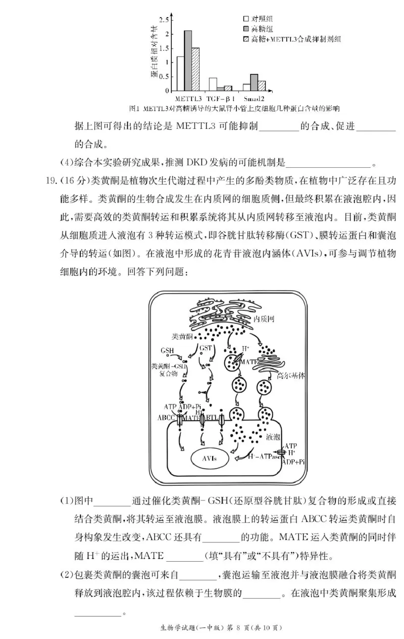 生物试卷（高一入学Y）_2025年02月试卷_0228湖南省长沙市第一中学2024-2025学年高一下学期入学考试_湖南省长沙市第一中学2024-2025学年高一下学期入学考试生物试题（PDF版，含答案）