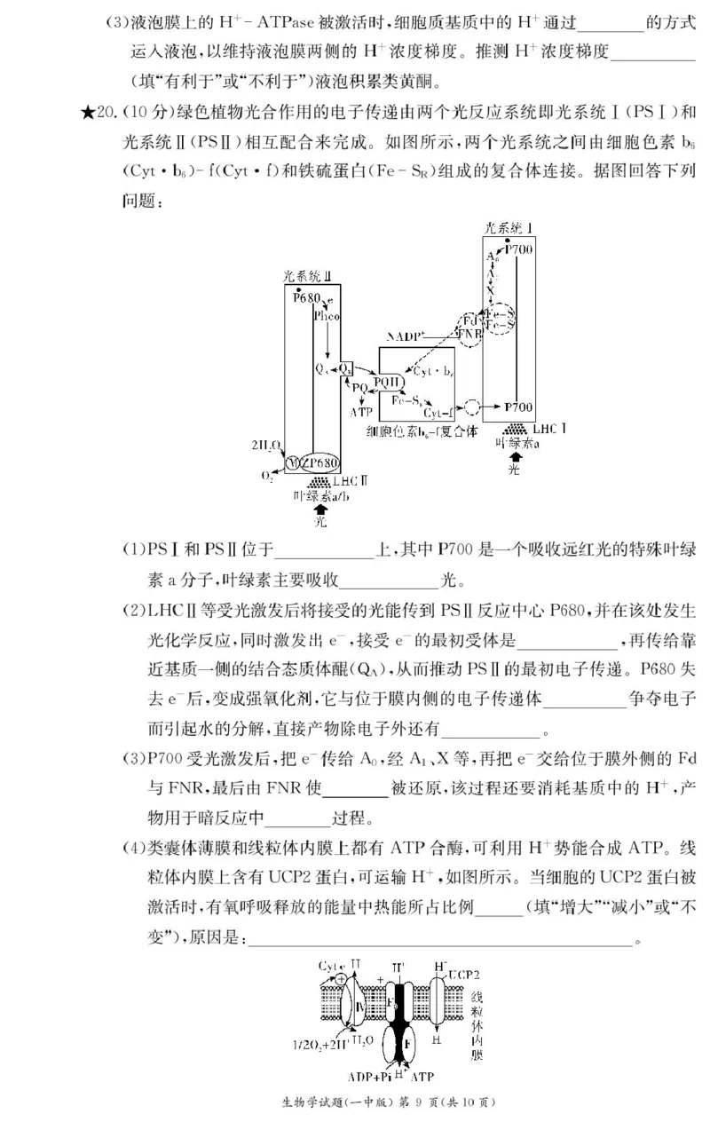 生物试卷（高一入学Y）_2025年02月试卷_0228湖南省长沙市第一中学2024-2025学年高一下学期入学考试_湖南省长沙市第一中学2024-2025学年高一下学期入学考试生物试题（PDF版，含答案）