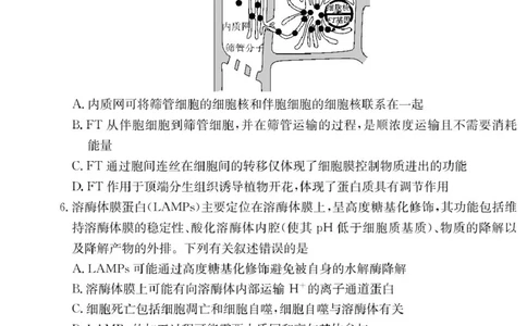生物试卷（高一入学Y）_2025年02月试卷_0228湖南省长沙市第一中学2024-2025学年高一下学期入学考试_湖南省长沙市第一中学2024-2025学年高一下学期入学考试生物试题（PDF版，含答案）