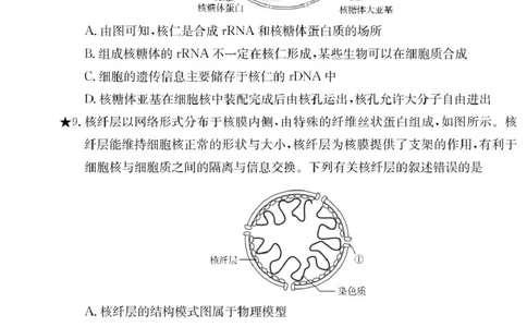 生物试卷（高一入学Y）_2025年02月试卷_0228湖南省长沙市第一中学2024-2025学年高一下学期入学考试_湖南省长沙市第一中学2024-2025学年高一下学期入学考试生物试题（PDF版，含答案）