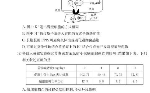 生物试卷（高一入学Y）_2025年02月试卷_0228湖南省长沙市第一中学2024-2025学年高一下学期入学考试_湖南省长沙市第一中学2024-2025学年高一下学期入学考试生物试题（PDF版，含答案）