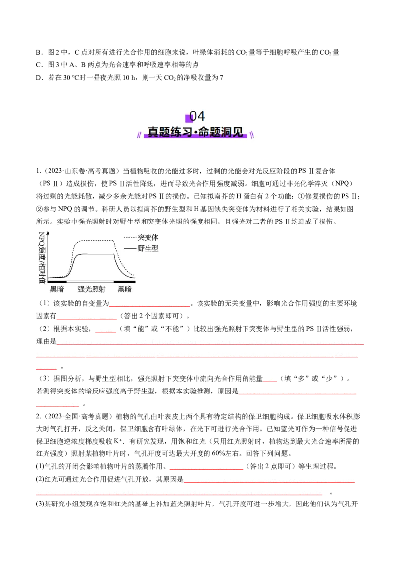 第11讲细胞代谢综合分析（讲义）（原卷版）_2025年新高考资料_一轮复习_2025年高考生物一轮复习讲练测（新教材新高考）