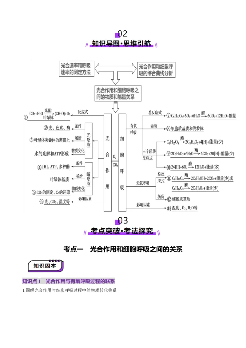 第11讲细胞代谢综合分析（讲义）（原卷版）_2025年新高考资料_一轮复习_2025年高考生物一轮复习讲练测（新教材新高考）