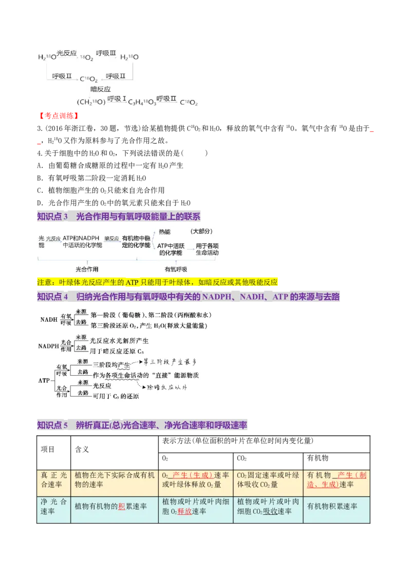 第11讲细胞代谢综合分析（讲义）（原卷版）_2025年新高考资料_一轮复习_2025年高考生物一轮复习讲练测（新教材新高考）