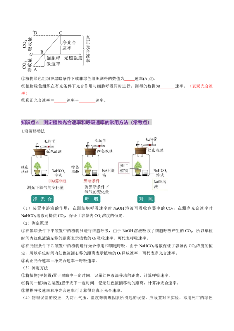 第11讲细胞代谢综合分析（讲义）（原卷版）_2025年新高考资料_一轮复习_2025年高考生物一轮复习讲练测（新教材新高考）