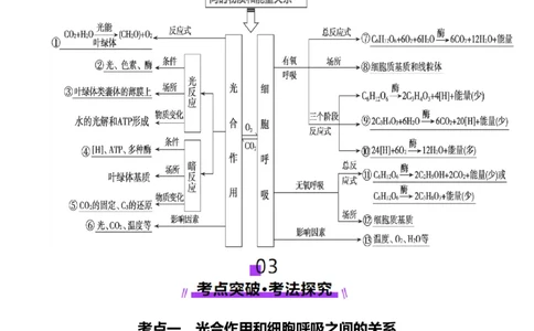 第11讲细胞代谢综合分析（讲义）（原卷版）_2025年新高考资料_一轮复习_2025年高考生物一轮复习讲练测（新教材新高考）