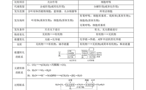 第11讲细胞代谢综合分析（讲义）（原卷版）_2025年新高考资料_一轮复习_2025年高考生物一轮复习讲练测（新教材新高考）