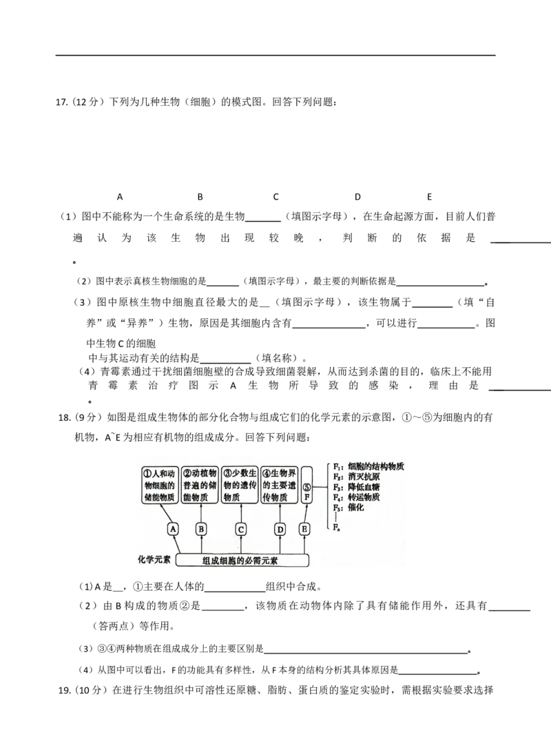 生物_2025年11月高一试卷_251110河河南省南阳市九师联盟2025-2026学年高一上学期期中考试_河南省南阳市九师联盟2025-2026学年高一上学期期中生物试题（含答案）