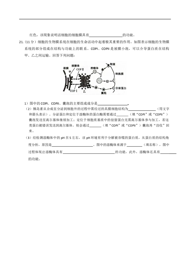 生物_2025年11月高一试卷_251110河河南省南阳市九师联盟2025-2026学年高一上学期期中考试_河南省南阳市九师联盟2025-2026学年高一上学期期中生物试题（含答案）