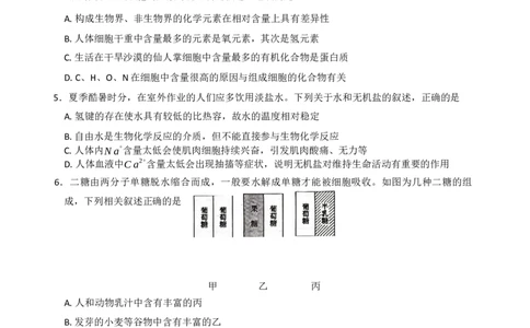 生物_2025年11月高一试卷_251110河河南省南阳市九师联盟2025-2026学年高一上学期期中考试_河南省南阳市九师联盟2025-2026学年高一上学期期中生物试题（含答案）