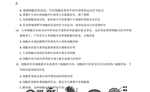 生物_2025年11月高一试卷_251110河河南省南阳市九师联盟2025-2026学年高一上学期期中考试_河南省南阳市九师联盟2025-2026学年高一上学期期中生物试题（含答案）