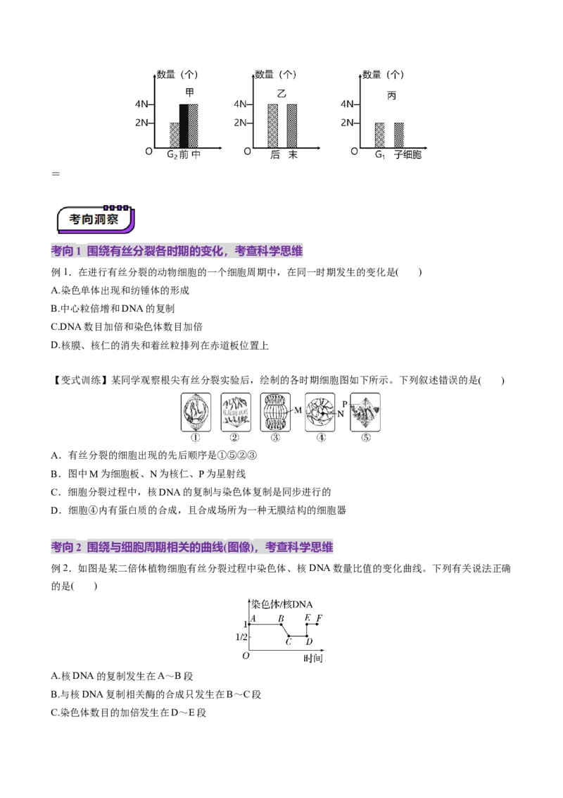 第12讲细胞增殖（讲义）（原卷版）_新高考复习资料_2025年新高考资料_2025年高考生物一轮复习讲练测（新教材新高考）
