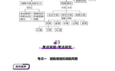 第12讲细胞增殖（讲义）（原卷版）_新高考复习资料_2025年新高考资料_2025年高考生物一轮复习讲练测（新教材新高考）