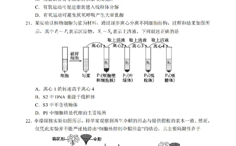 生物卷-2602丽水高一期末_2026年02月高一试卷_260219浙江省丽水市2025-2026学年上学期高一期末教学质量监控（全）_浙江省丽水市2025-2026学年上学期高一期末教学质量监控生物试题含答案