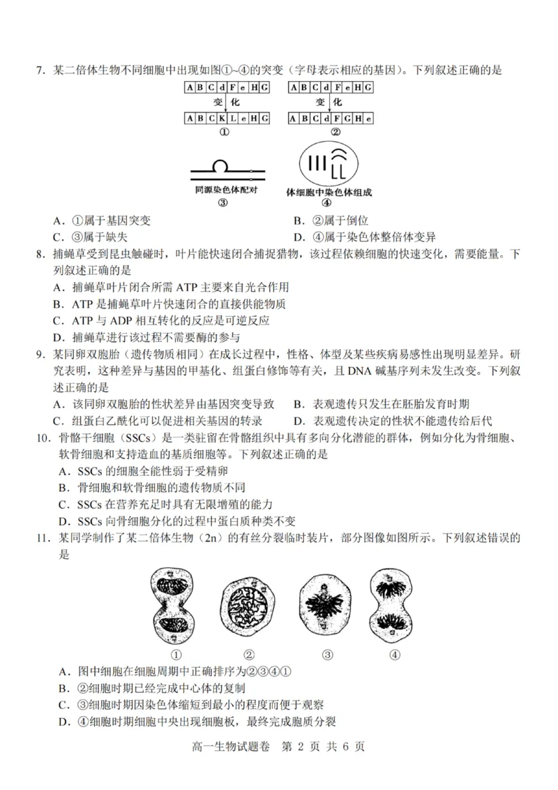生物-杭州地区(含周边)重点中学2025学年高一第二学期期中联考_2026年04月高一试卷_260426杭州地区(含周边)重点中学2025学年高一第二学期期中联考（全科）