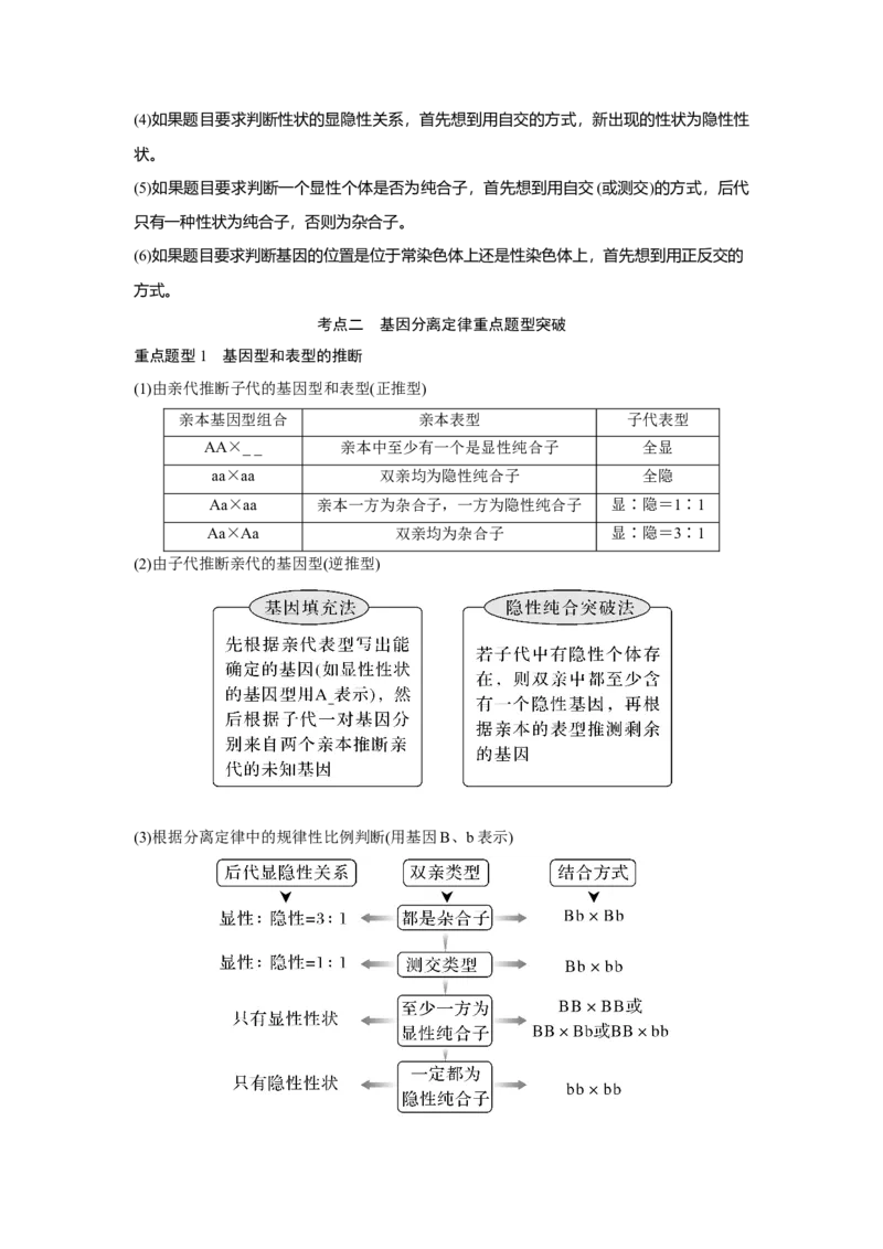 第13讲　基因的分离定律_新高考复习资料_2023年新高考复习资料_一轮复习_2023年新高考大一轮复习讲义_2023年高考生物一轮复习讲义（新人教新高考）_赠补充习题