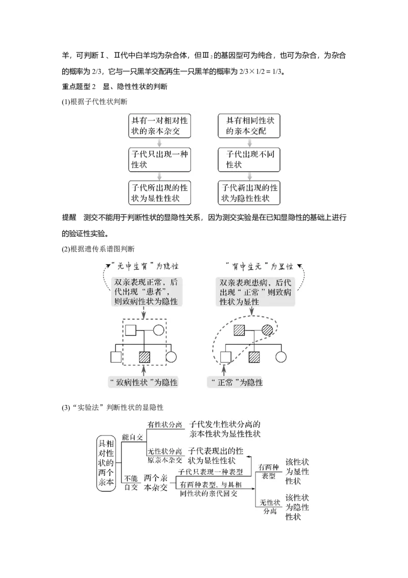 第13讲　基因的分离定律_新高考复习资料_2023年新高考复习资料_一轮复习_2023年新高考大一轮复习讲义_2023年高考生物一轮复习讲义（新人教新高考）_赠补充习题