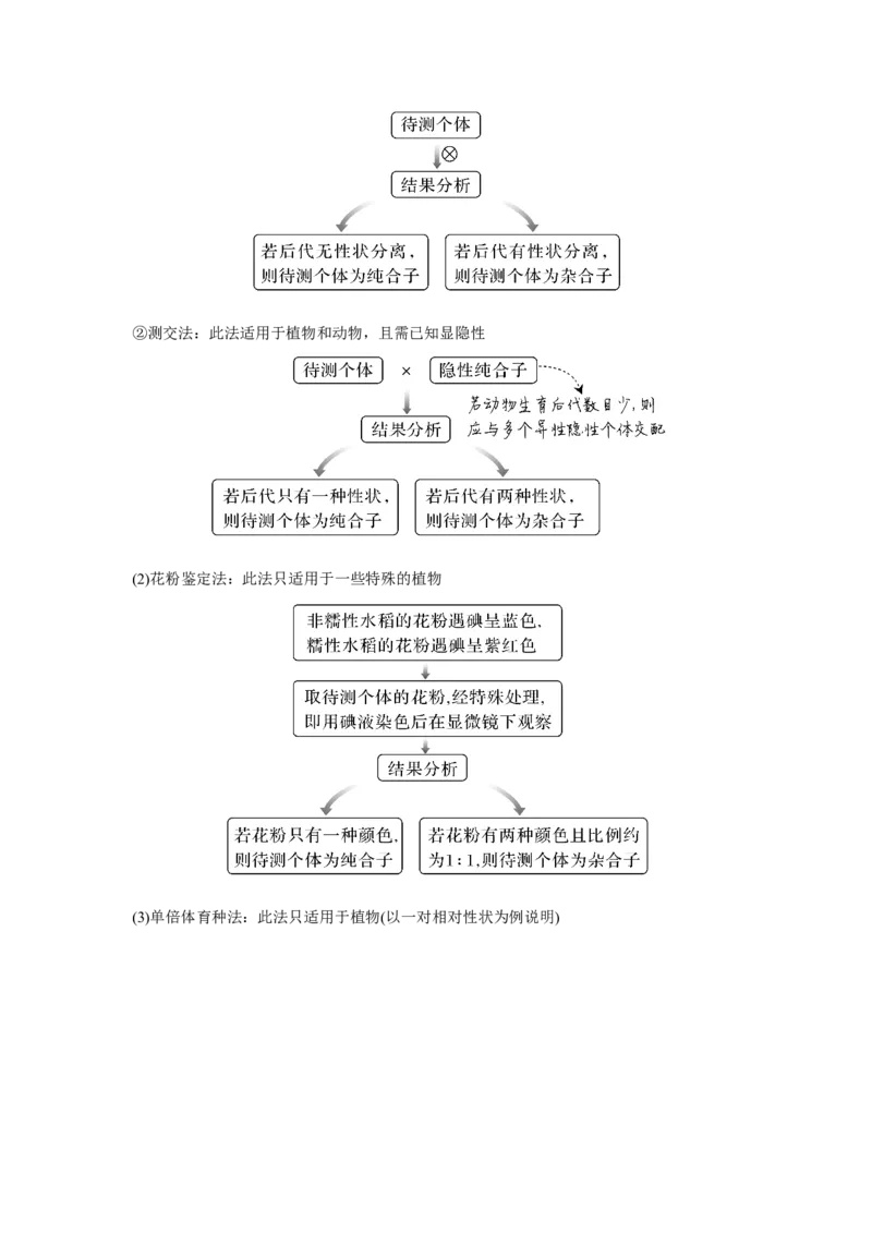第13讲　基因的分离定律_新高考复习资料_2023年新高考复习资料_一轮复习_2023年新高考大一轮复习讲义_2023年高考生物一轮复习讲义（新人教新高考）_赠补充习题