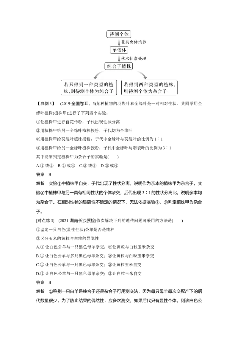 第13讲　基因的分离定律_新高考复习资料_2023年新高考复习资料_一轮复习_2023年新高考大一轮复习讲义_2023年高考生物一轮复习讲义（新人教新高考）_赠补充习题