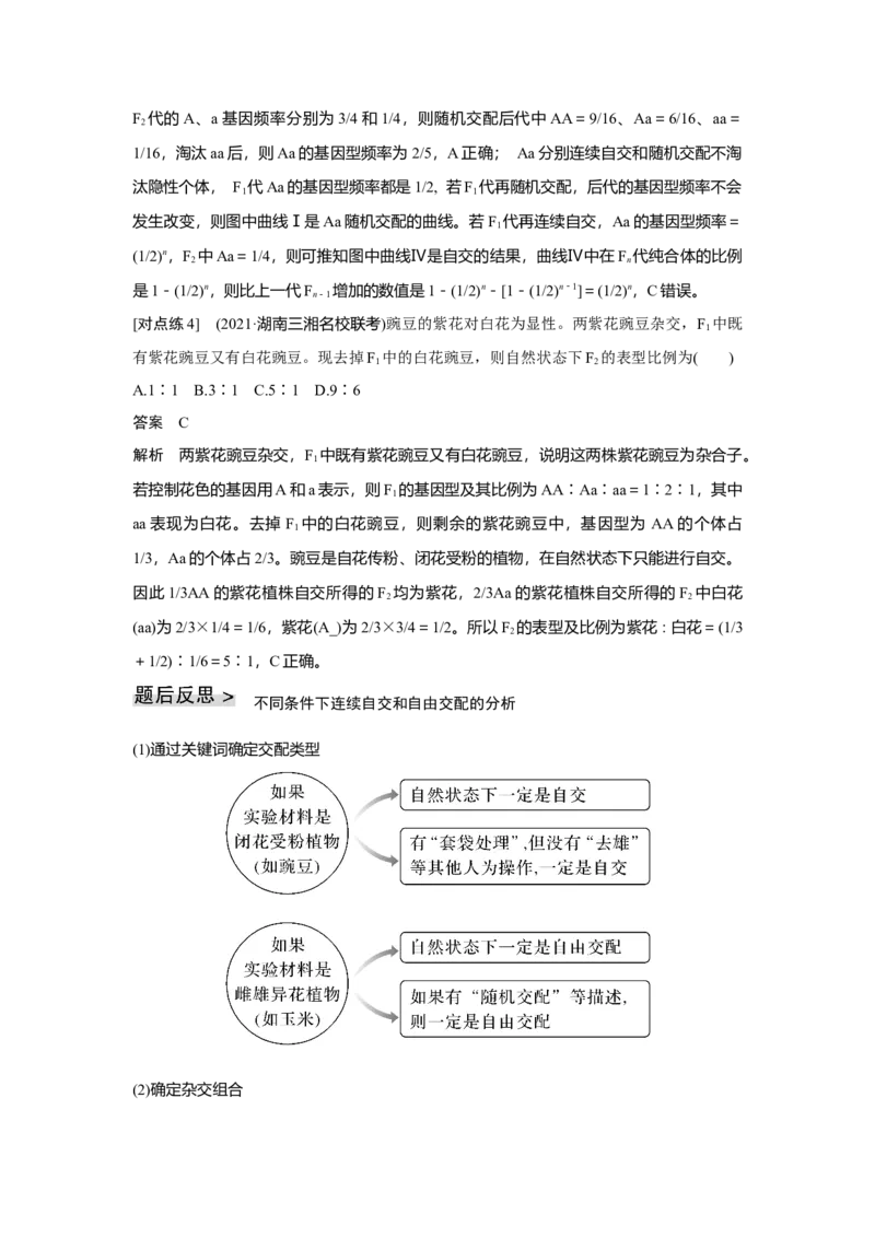 第13讲　基因的分离定律_新高考复习资料_2023年新高考复习资料_一轮复习_2023年新高考大一轮复习讲义_2023年高考生物一轮复习讲义（新人教新高考）_赠补充习题