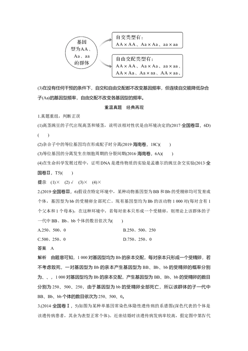 第13讲　基因的分离定律_新高考复习资料_2023年新高考复习资料_一轮复习_2023年新高考大一轮复习讲义_2023年高考生物一轮复习讲义（新人教新高考）_赠补充习题