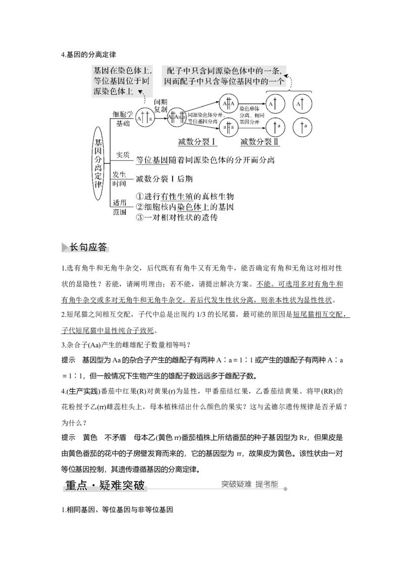 第13讲　基因的分离定律_新高考复习资料_2023年新高考复习资料_一轮复习_2023年新高考大一轮复习讲义_2023年高考生物一轮复习讲义（新人教新高考）_赠补充习题