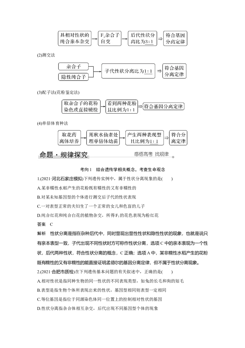 第13讲　基因的分离定律_新高考复习资料_2023年新高考复习资料_一轮复习_2023年新高考大一轮复习讲义_2023年高考生物一轮复习讲义（新人教新高考）_赠补充习题