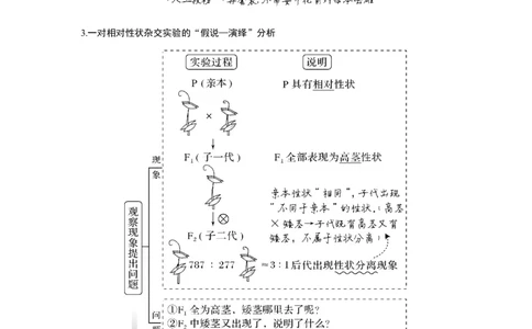 第13讲　基因的分离定律_新高考复习资料_2023年新高考复习资料_一轮复习_2023年新高考大一轮复习讲义_2023年高考生物一轮复习讲义（新人教新高考）_赠补充习题