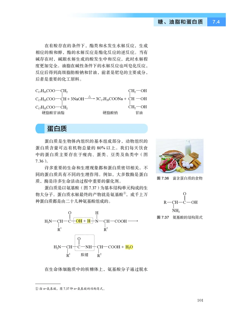 沪科技版化学必修2_电子课本_最新版高中全科高清电子课本_5高中化学课本_2019沪科技版