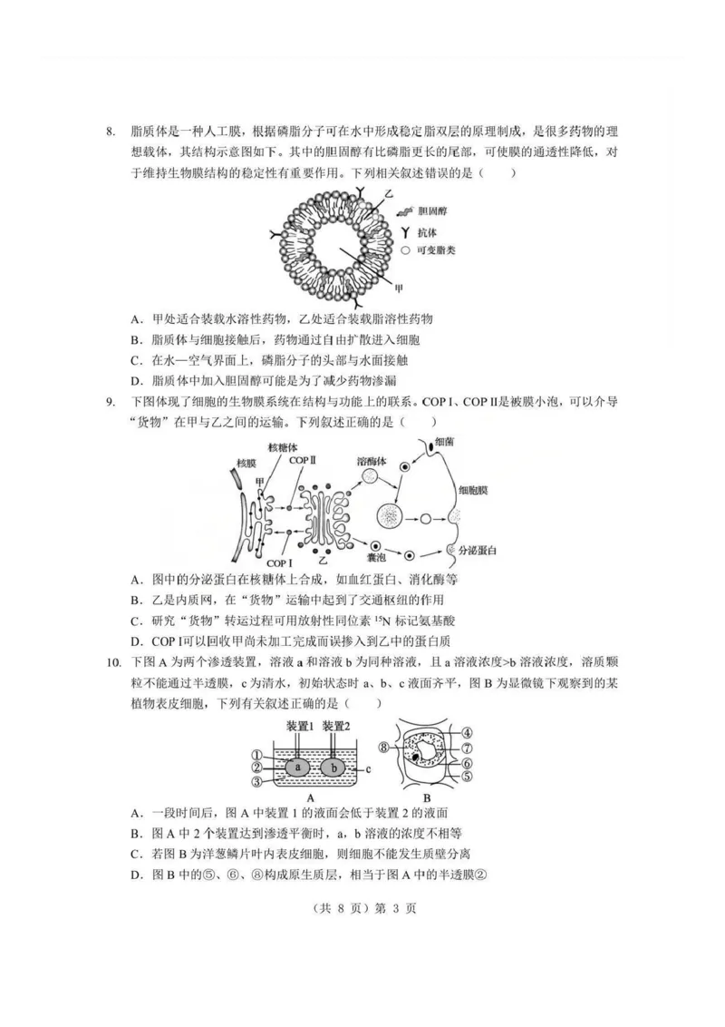 生物试题卷+答案-湖北省孝感市楚天协作体2025-2026学年度上学期高一年级期末考试(2.6-2.7)_2026年02月高一试卷_260216湖北省孝感市楚天协作体2025-2026学年度上学期高一年级期末考试（全）