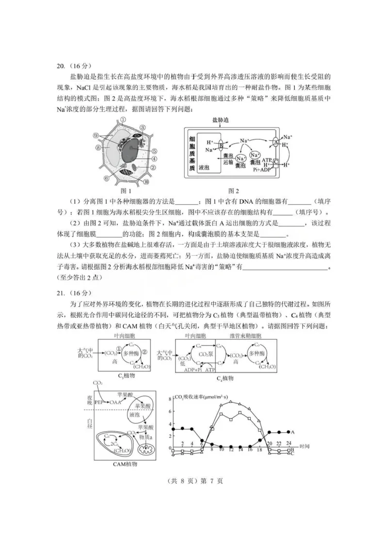 生物试题卷+答案-湖北省孝感市楚天协作体2025-2026学年度上学期高一年级期末考试(2.6-2.7)_2026年02月高一试卷_260216湖北省孝感市楚天协作体2025-2026学年度上学期高一年级期末考试（全）