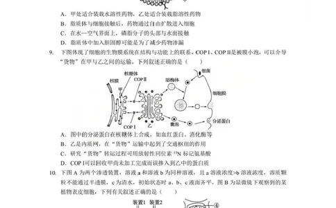 生物试题卷+答案-湖北省孝感市楚天协作体2025-2026学年度上学期高一年级期末考试(2.6-2.7)_2026年02月高一试卷_260216湖北省孝感市楚天协作体2025-2026学年度上学期高一年级期末考试（全）