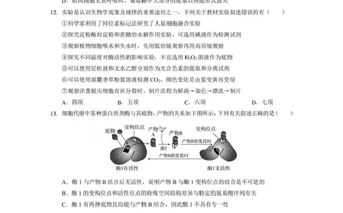 生物试题卷+答案-湖北省孝感市楚天协作体2025-2026学年度上学期高一年级期末考试(2.6-2.7)_2026年02月高一试卷_260216湖北省孝感市楚天协作体2025-2026学年度上学期高一年级期末考试（全）