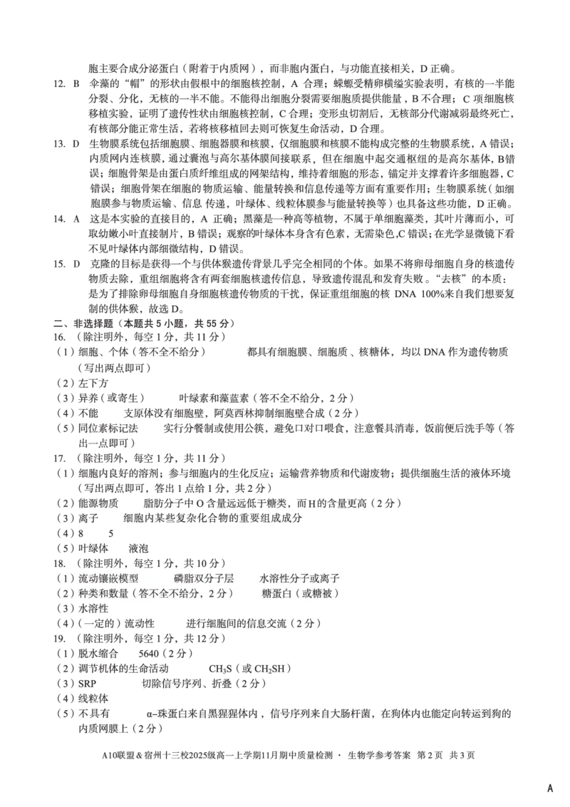 生物学答案（A卷）A10联盟＆宿州十三校2025级高一上学期11月期中质量检测生物学答案a_2025年11月高一试卷_251124安徽省A10联盟＆宿州十三校2025级高一上学期11月期中质量检测（全）