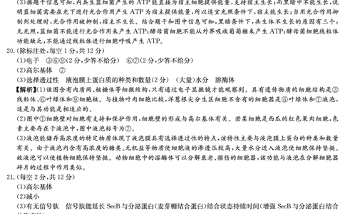 生物答案（高一11月联考）_2025年11月高一试卷_251116湖南炎德英才名校联考联合体2025年秋季高一第二次（期中）联考