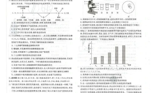 生物试卷-湖南名校联考联合体2025年秋季高一第一次联考_2025年10月高一试卷_251019湖南炎德英才名校联考联合体2025年秋季高一第一次联考