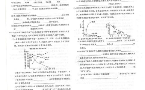 生物试卷-湖南名校联考联合体2025年秋季高一第一次联考_2025年10月高一试卷_251019湖南炎德英才名校联考联合体2025年秋季高一第一次联考