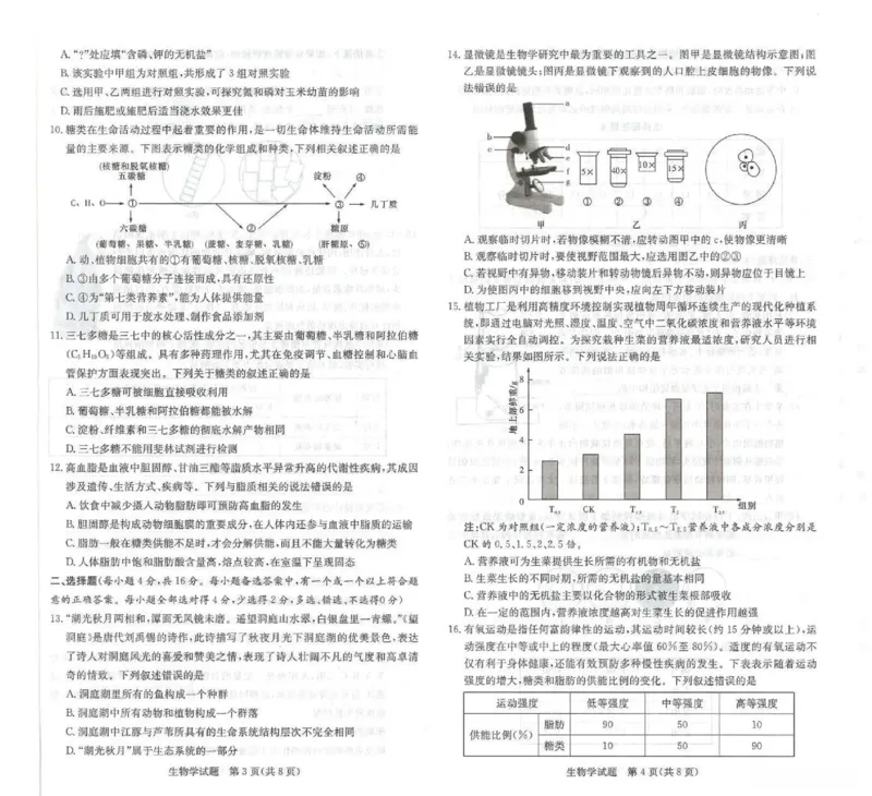 生物试卷-湖南名校联考联合体2025年秋季高一第一次联考_2025年10月高一试卷_251019湖南炎德英才名校联考联合体2025年秋季高一第一次联考