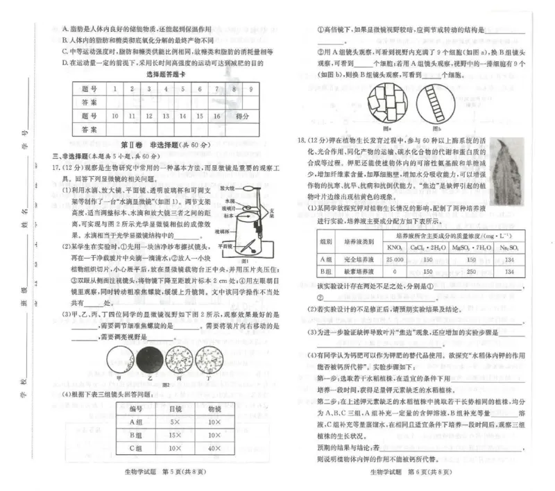 生物试卷-湖南名校联考联合体2025年秋季高一第一次联考_2025年10月高一试卷_251019湖南炎德英才名校联考联合体2025年秋季高一第一次联考