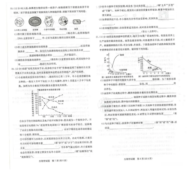 生物试卷-湖南名校联考联合体2025年秋季高一第一次联考_2025年10月高一试卷_251019湖南炎德英才名校联考联合体2025年秋季高一第一次联考