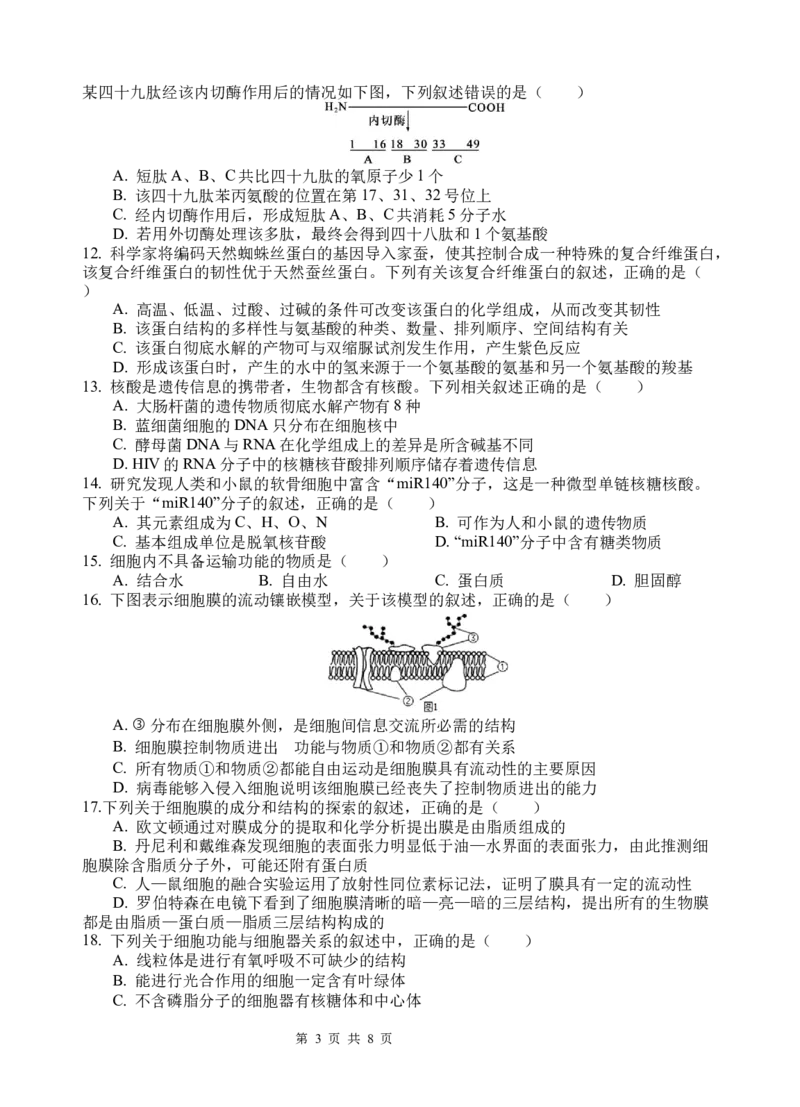 生物试题定稿_2025年10月高一试卷_251022四川省南充高级中学2025-2026学年高一上学期10月月考试题（全）_四川省南充高级中学2025-2026学年高一上学期10月月考试题生物Word版含答案