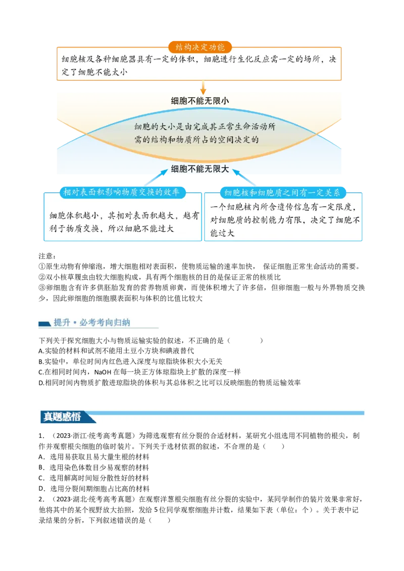 第12讲细胞的增殖（讲义）（学生版）_新高考复习资料_2024年新高考复习资料_一轮复习资料_完2024年高考生物一轮复习讲练测(课件+讲义+练习)（新高考）_讲义+练习