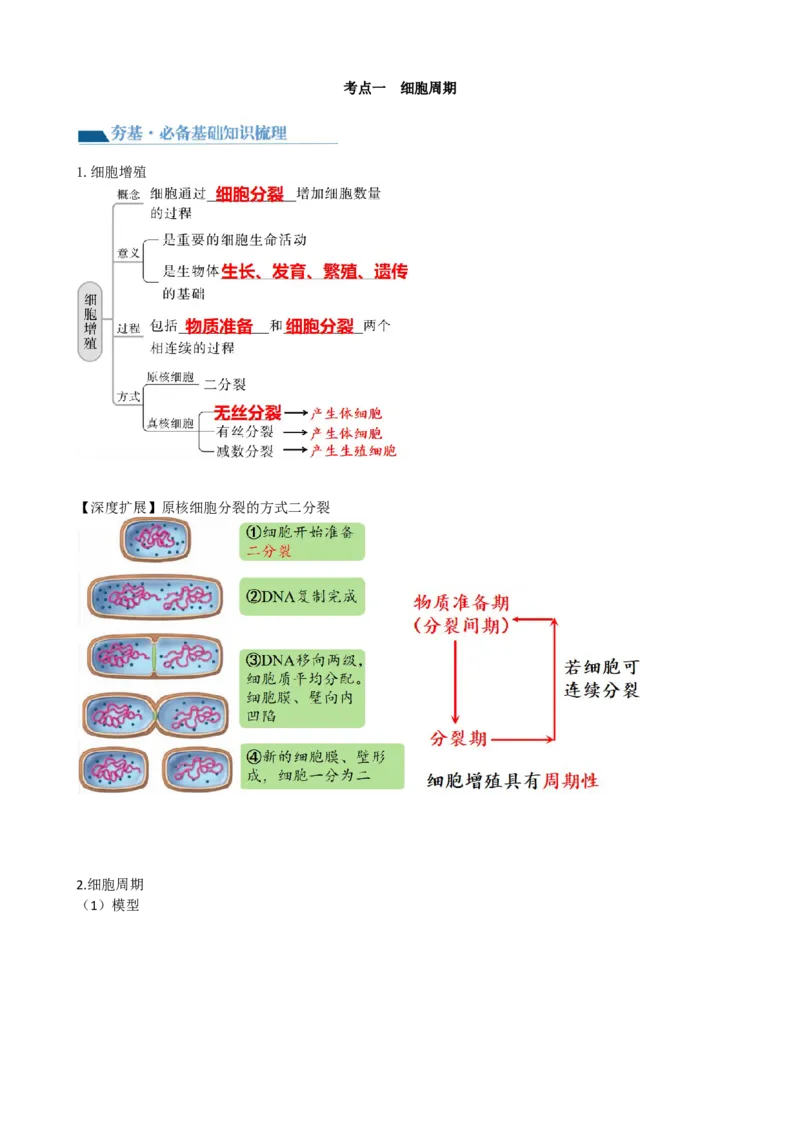 第12讲细胞的增殖（讲义）（学生版）_新高考复习资料_2024年新高考复习资料_一轮复习资料_完2024年高考生物一轮复习讲练测(课件+讲义+练习)（新高考）_讲义+练习